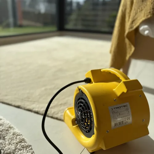 Séchage de tapis après nettoyage à Saint‑Nazaire.